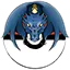 Pulyztcg