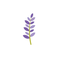 Rarasara