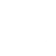 RevenueX