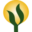 Rishikul Yogshala Rishikesh