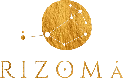 Rizoma Salud Integral