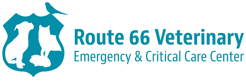 Rt66vet