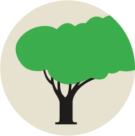 SavATree