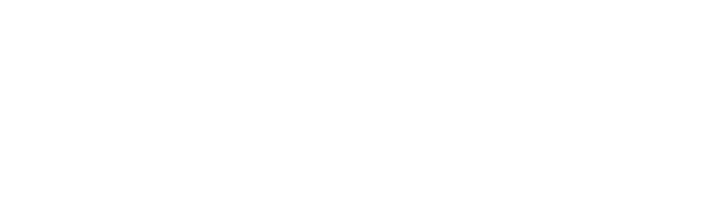 Saverium