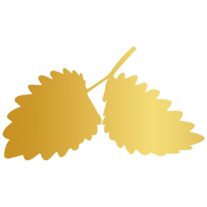 SaxGastro 