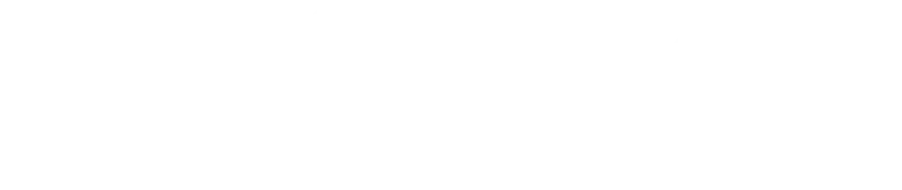 SBS Tax GmbH