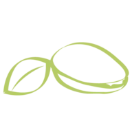 Sciara pistacchio