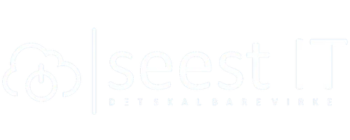 Seest IT