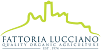 Fattoria Lucciano