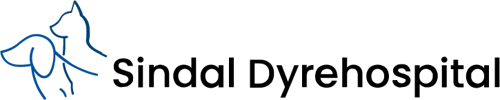 Sindaldyrehospital