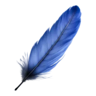 Skyrevision