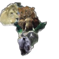 Smile view kenya tours and travel