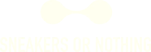 Sneakers Ornothing