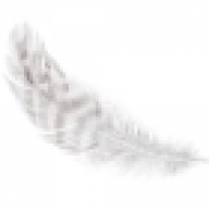 Sofficepiuma