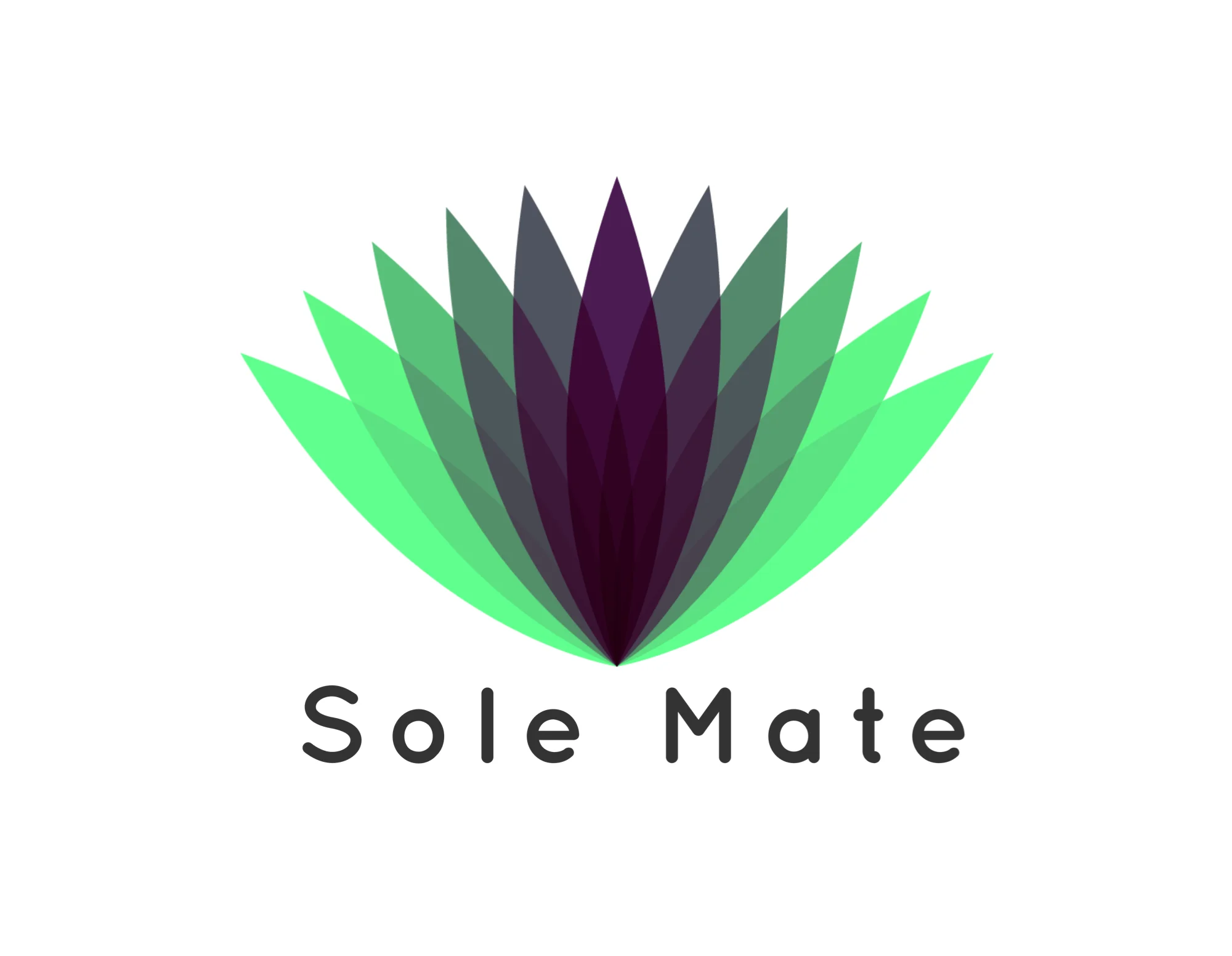 Sole Mate, LLC Automatic Shoe Cover Machine