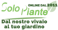 SoloPiante
