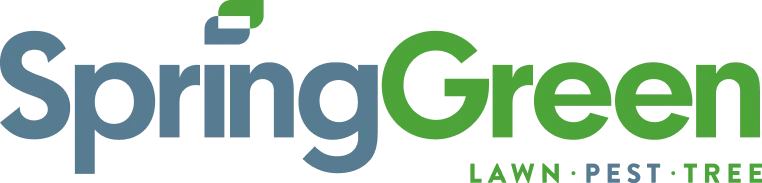 Spring-Green Lawn Care