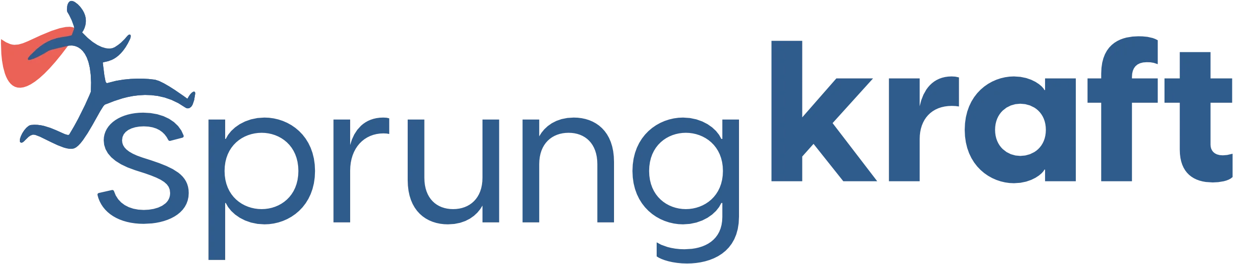 Sprungkraft Consulting