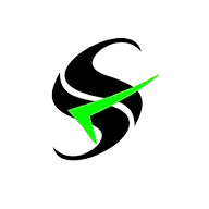 SS AUDITORS AND TAX CONSULTANTS
