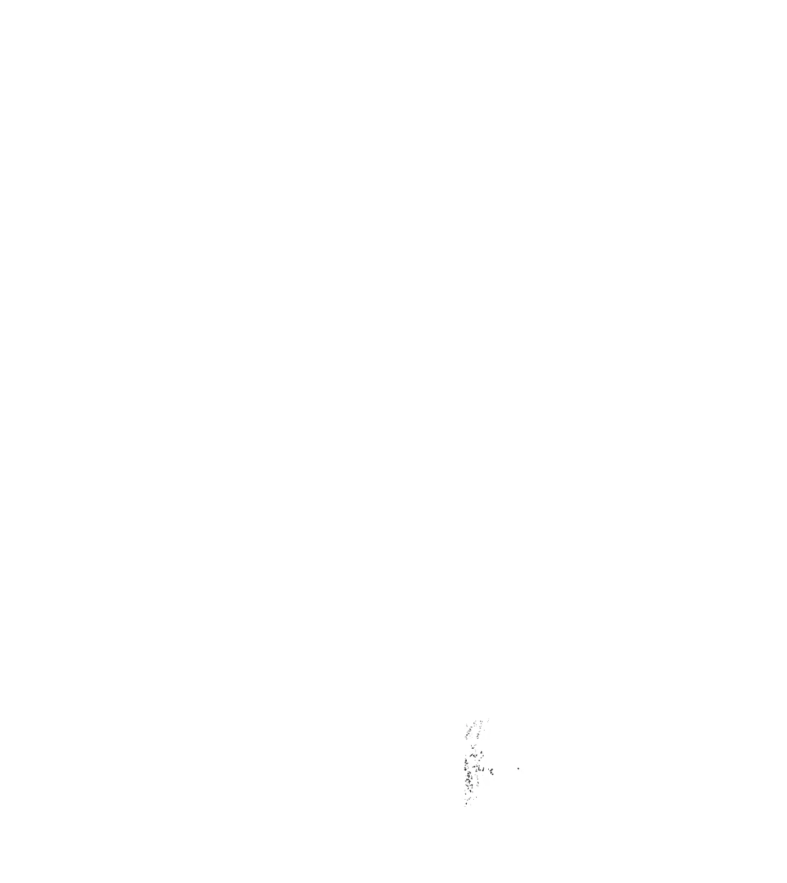 'Stache Salt