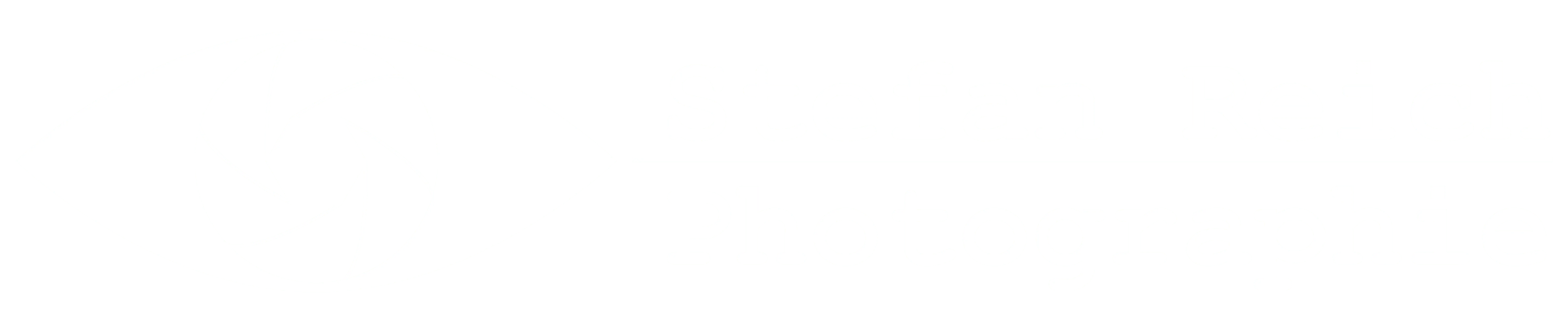 Stefan Reich Photographie