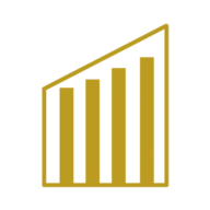 Stein Consulting