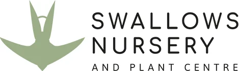 Swallows Nursery