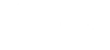 Synergy 4 Success