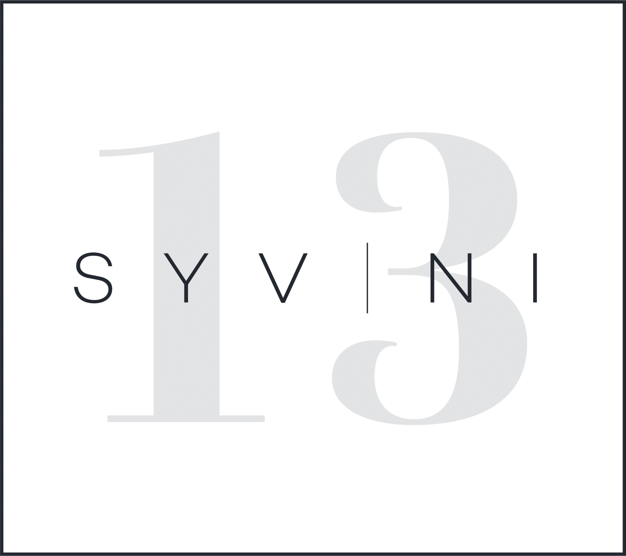 Syvnitretten