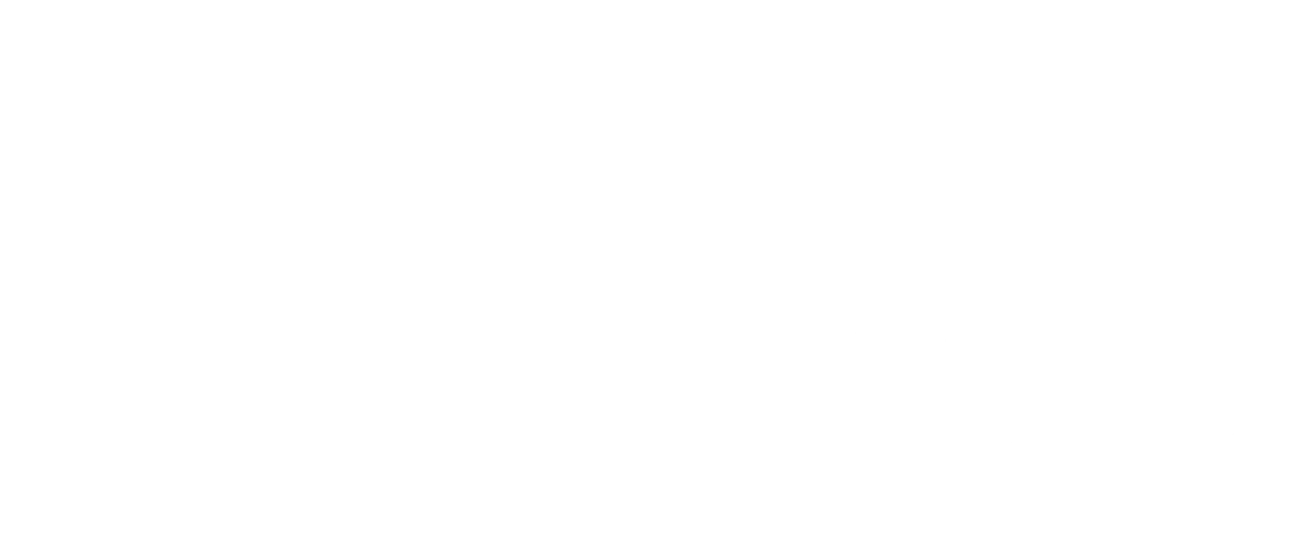 Tech Savvy Solutions