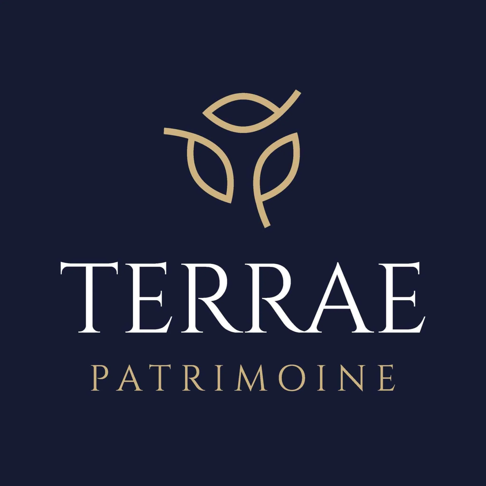 Terrae Patrimoine - Gestion de Patrimoine
