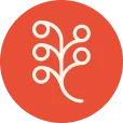 Territory Foods