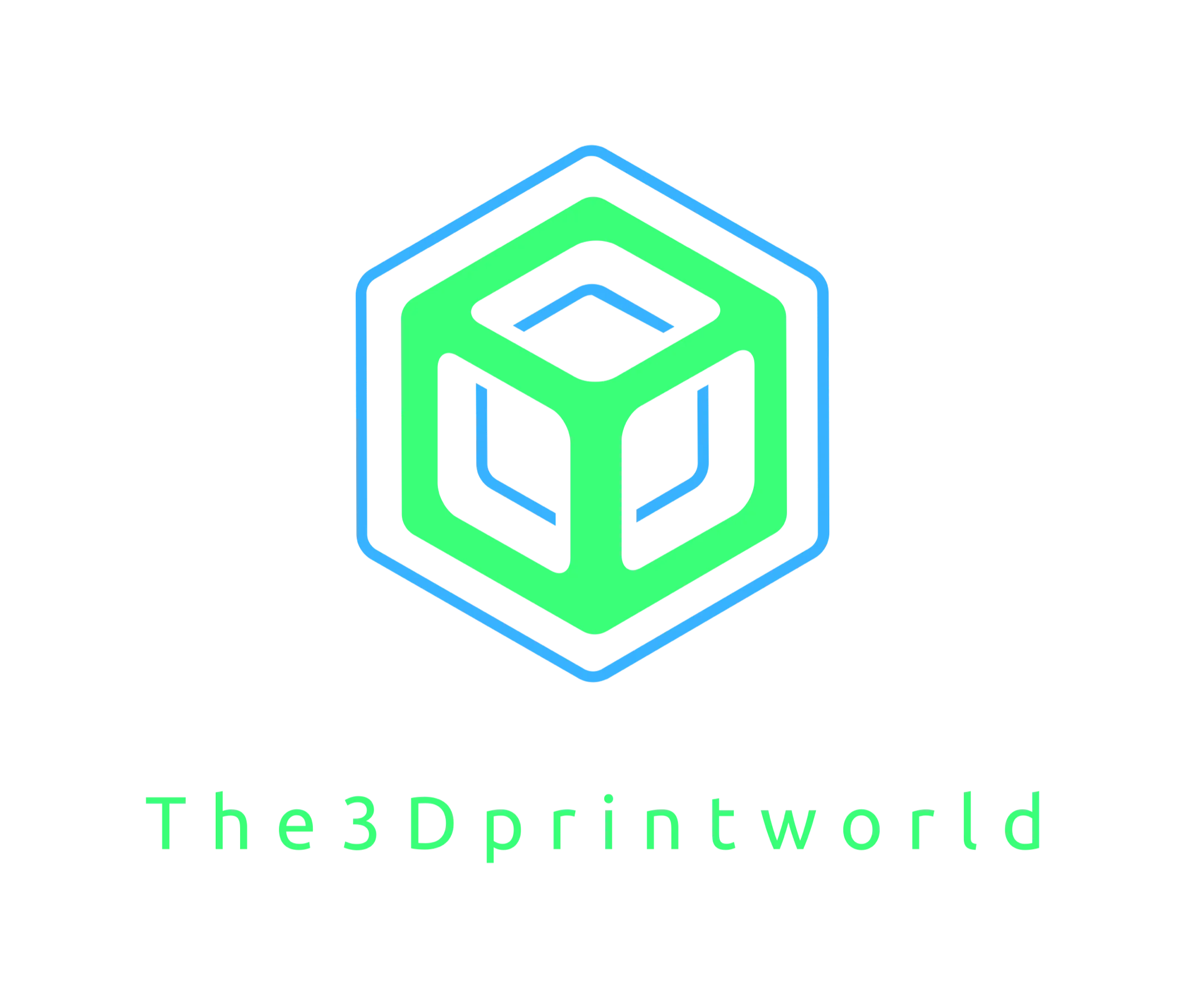 The3Dprintworld
