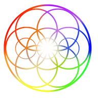 The Coldplay Tribute