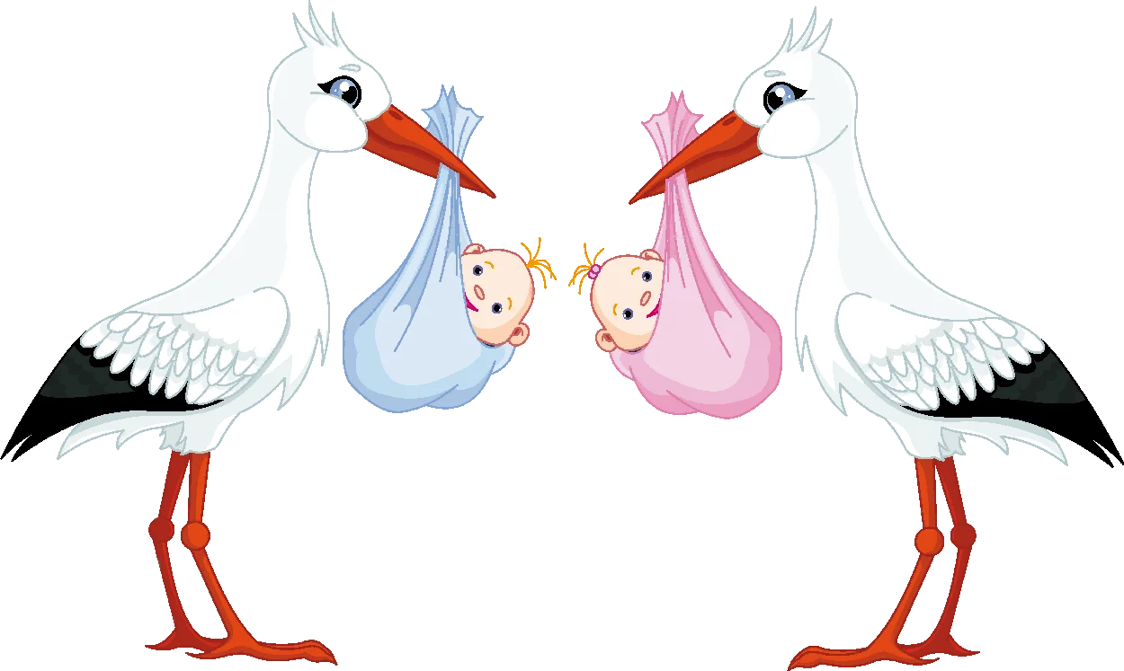 The Doncaster Doula 