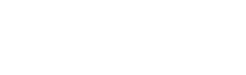 The Falcon POS