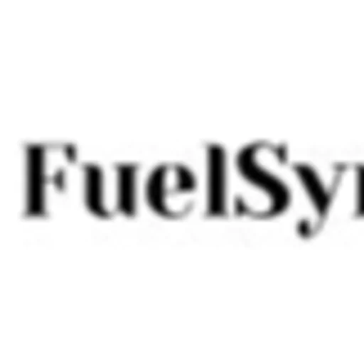 Fuelsync Gas Saver