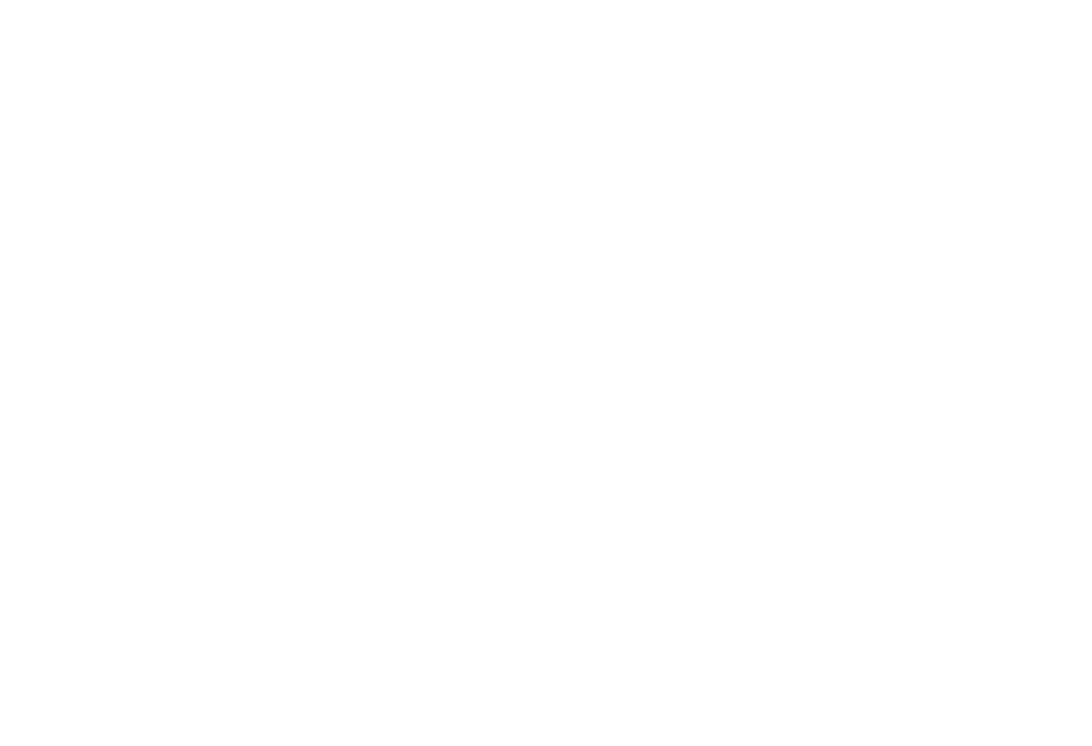 The Nordic Film Acting Institute