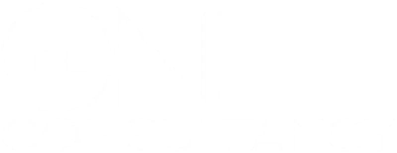 The One Consultancy