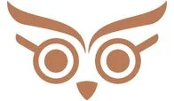 Theorise Ltd