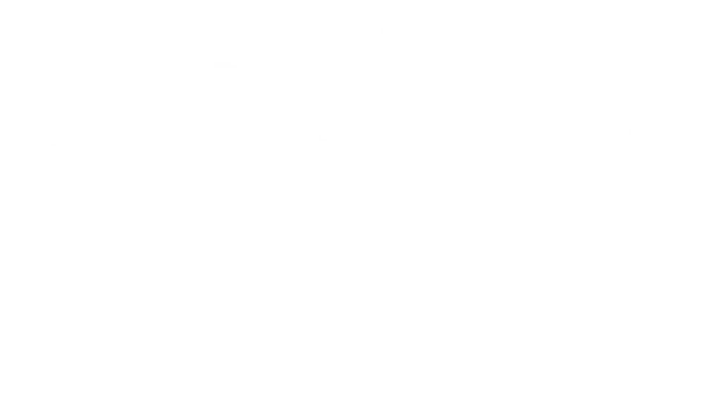 The Pizza Post