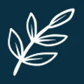 SilverLeaf Spaces Ltd