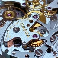 The Watch Professional