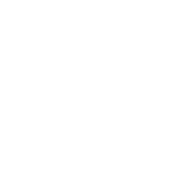 The Wellbeing Agency