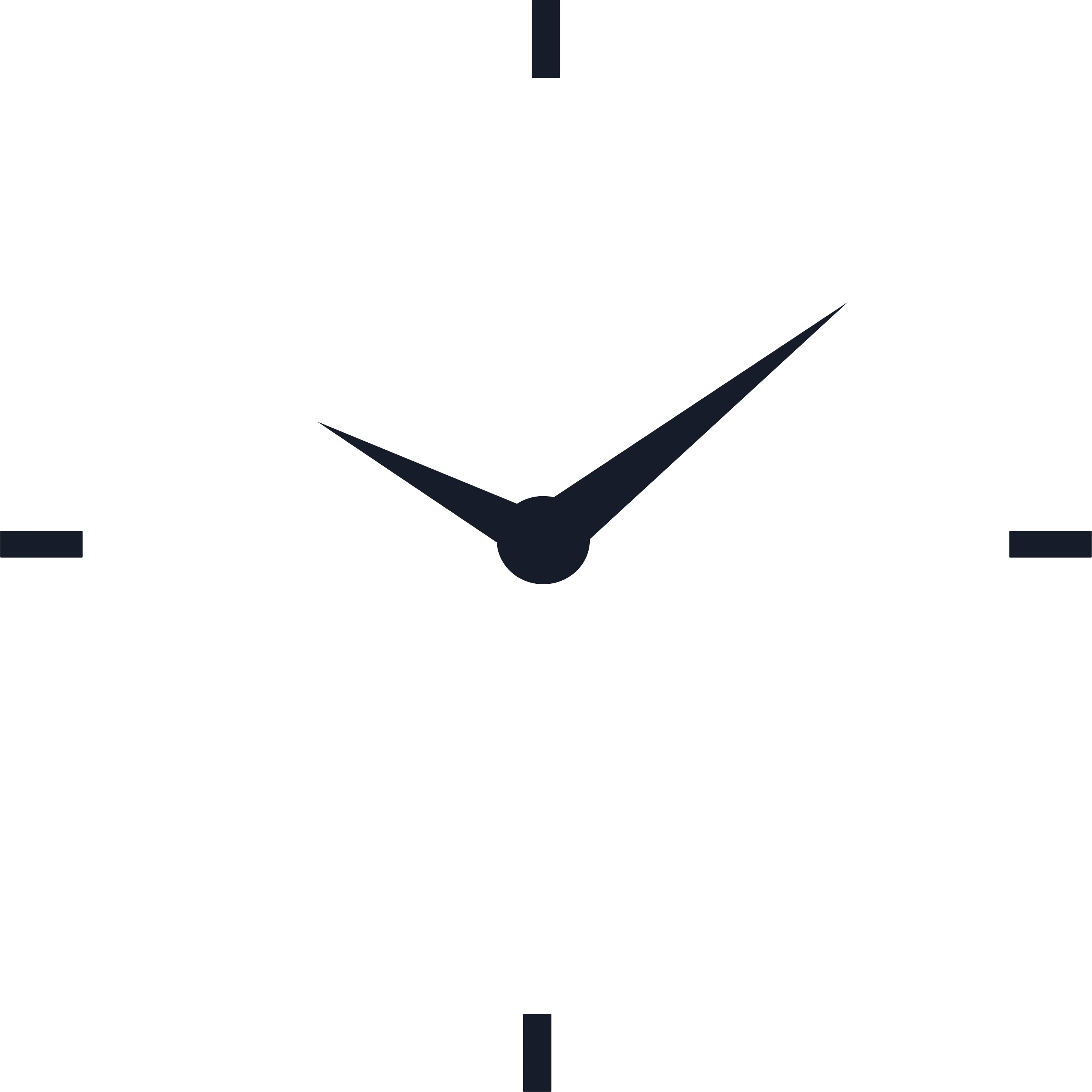 Timerub