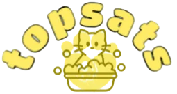 Topsats