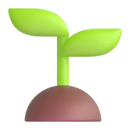 Touch Grass Store