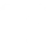 Travel Guitar Traveler Guitar