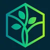 Tree School of Languages