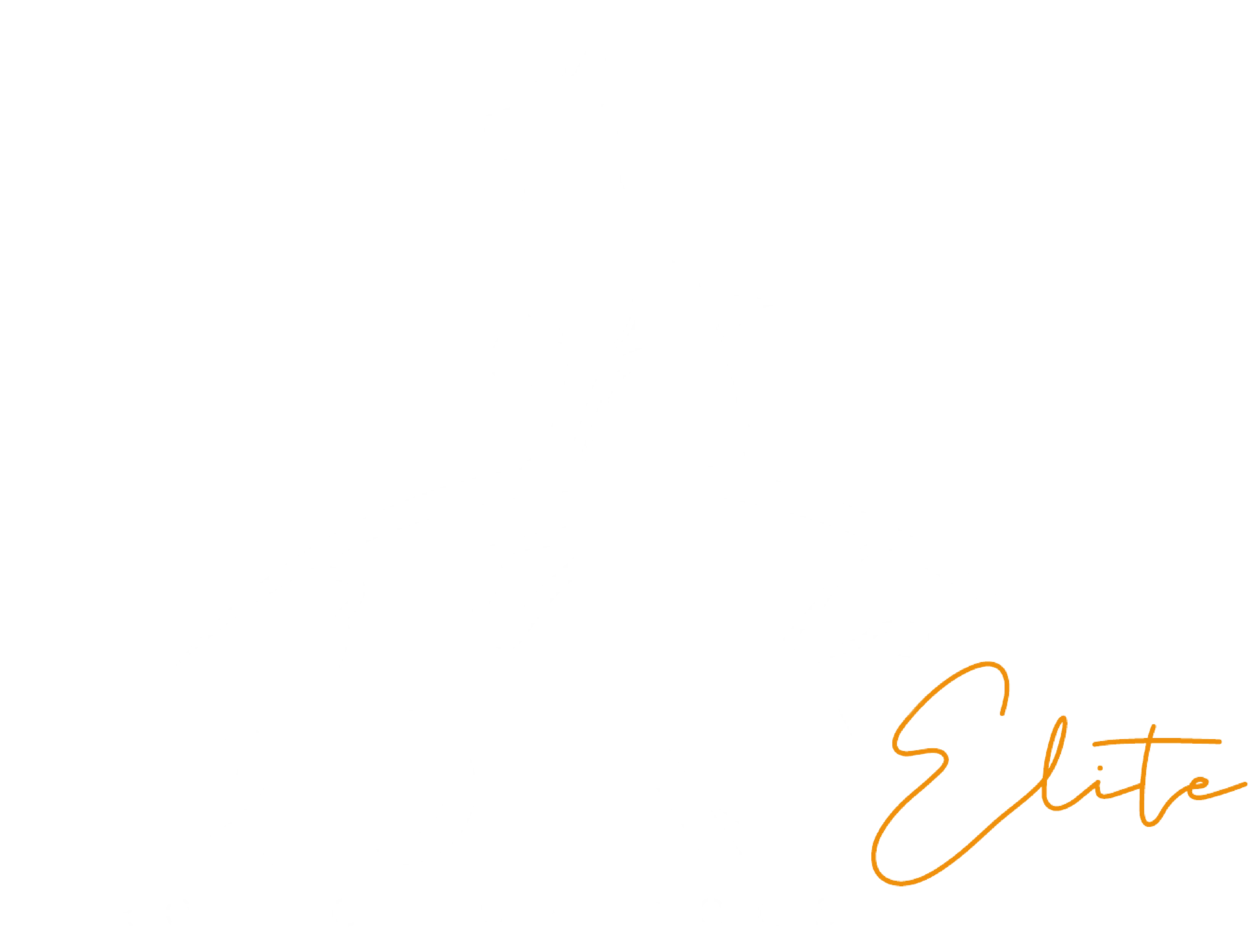 Tridentprotectiondogs